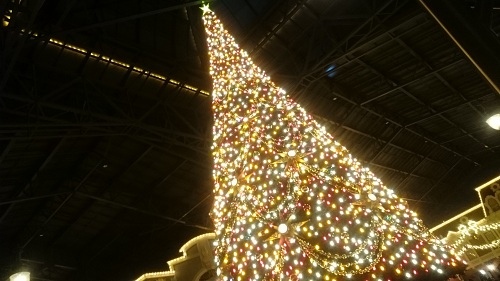 ディズニーランド・クリスマスツリー
